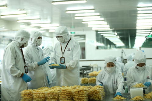 檢測服務(wù)為翼，助力山東即墨企業(yè)振翅高飛